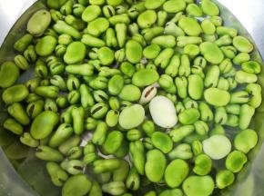 将蚕豆用清水浸泡一下清洗干净。