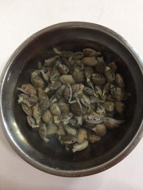 花甲买回来倒进盆里加入一勺盐，浸泡半天，让它吐出肚子里的沙子！