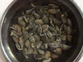 花甲买回来倒进盆里加入一勺盐，浸泡半天，让它吐出肚子里的沙子！