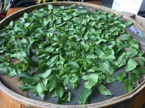 将薄荷去梗取叶，清洗干净后浸泡在清水里半小时，然后捞出沥干水分，摊晾干；