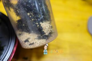 凉了之后放入料理机内