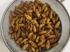 捞出沥干水分备用！