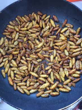 起锅烧油，放入蚕蛹小火慢慢的煎至蚕蛹金黄酥脆！