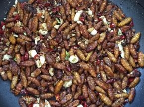 起锅前放入适量的鸡精翻炒均匀即可！