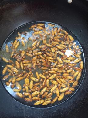 水烧开，放入蚕蛹焯水一分钟左右！