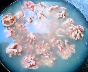 锅中烧开水放入鸡胗同时放入料酒焯水至鸡胗断生去腥