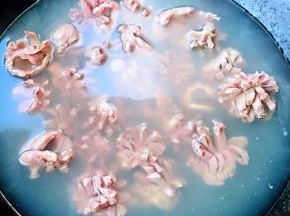 锅中烧开水放入鸡胗同时放入料酒焯水至鸡胗断生去腥