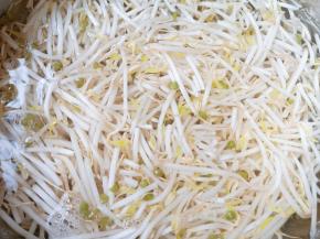 绿豆芽用水浸泡一下洗干净。