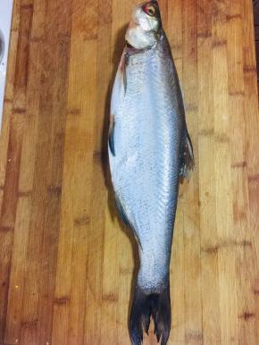 鱼清理干净，放入适量的料酒和盐涂抹均匀腌制10分钟左右！