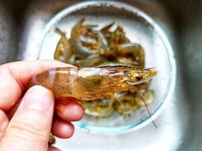 用剪刀剪去腔枪与虾，避免吃的时候扎手。