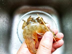 用牙签挑去虾肠。