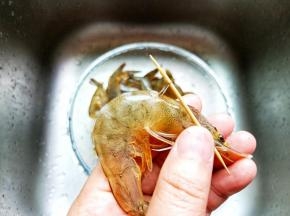 用牙签挑去虾肠。