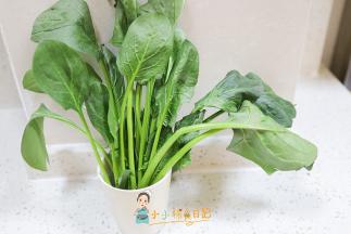 菠菜保存有一个小窍门，买来的菠菜如果不马上吃有根的话可以这样插进水里保存
