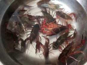 3.再用清水反复清洗