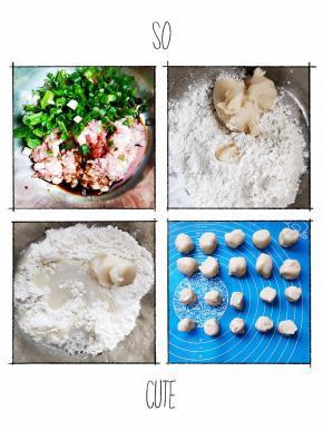 1⃣ 鲜肉馅的制作。把猪肉馅及白砂糖、生抽、料酒、香葱、盐所有调味料倒入大碗里。用筷子不断的搅拌肉馅，直到肉馅出现粘性。拌好的肉馅备用！
2⃣ 将水油皮面团的所有配料混合揉成光滑的面团，做到三光就可以，盆光、手光、面团光（不需要揉出手套膜）！