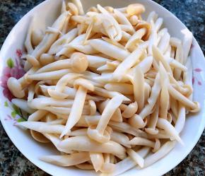 处理好的白玉菇沥干水份备用