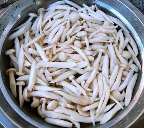 焯好水的白玉菇立即放入冷水中过凉