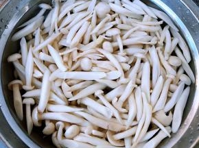 焯好水的白玉菇立即放入冷水中过凉