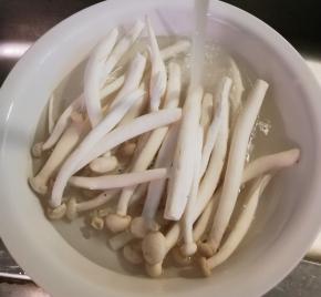 白玉菇去掉根部 冲洗干净