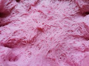 看一下发酵好的面团，扒开面团内部呈细密的蜂窝状。