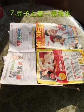 豆子上盖一层报纸
