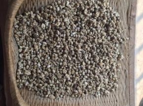 夏天4天就可以晒干了！
