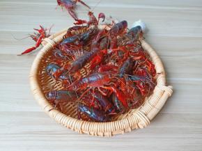 挑选活蹦乱跳的小龙虾。