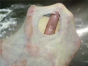 从冰箱取出面团，室温缓十几二十分钟，先后加入酵母和黄油再来揉面。揉到扩展阶段就可以了。当然揉到完全阶段面包口感会更好一些，随意。