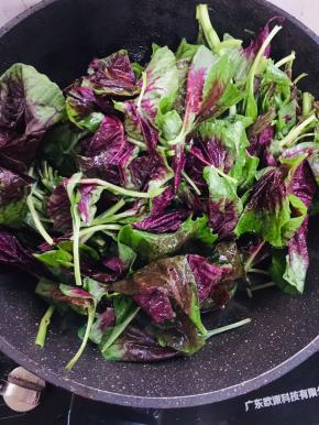 放入红苋菜翻炒片刻！