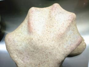 小餐包不需要很薄的手套膜，而且加了黑全麦粉，比较粗糙，打到结实一点的粗膜就可以了。