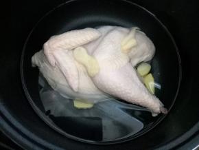 将鸡放入电饭锅中，加几片姜，冷水开始煮，用快煮饭的程序，大概半小时的时间，如果用煤气灶之类的煮，也是冷水入锅，先把水烧开，然后转小火煮15分钟。