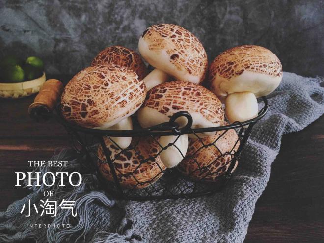 仿真蘑菇馒头