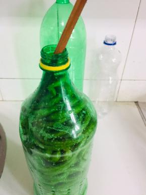 用筷子按压紧实！