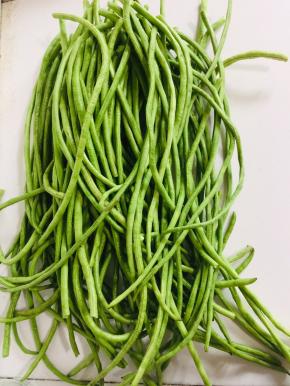 刚从地里摘回来的豇豆，选择嫩嫩的饱满的豇豆，把有虫的部分摘出来，掐去两头，不用洗！（豇豆本身也不脏，不用洗，直接腌制，吃的时候再清洗一下就好了！这样可以防止豇豆洗的时候水份没彻底晾干，容易变质的问题！）
