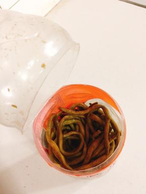 吃的时候，用铁丝把酸豇豆钩出来，也可以像我这样简单粗暴地，直接用刀从中间切开！（开盖的时候要小心哦，里面密封太紧，发酵的时候有气体，容易瓶盖爆开！我今天开的时候瓶盖就爆开了，吓死宝宝了！）