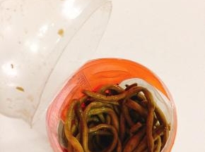 吃的时候，用铁丝把酸豇豆钩出来，也可以像我这样简单粗暴地，直接用刀从中间切开！（开盖的时候要小心哦，里面密封太紧，发酵的时候有气体，容易瓶盖爆开！我今天开的时候瓶盖就爆开了，吓死宝宝了！）