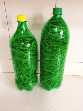 拧紧瓶盖，腌制20天左右就可以食用了！