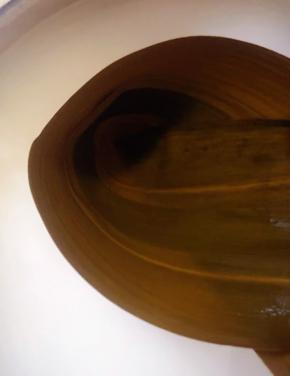 两片粽叶摆平在一端对折成锥形