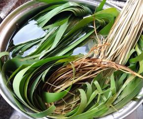 新鲜的粽叶和马莲洗净放入蒸锅大火蒸二十分钟