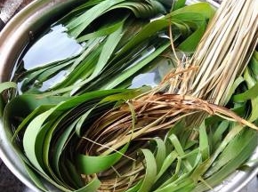 新鲜的粽叶和马莲洗净放入蒸锅大火蒸二十分钟