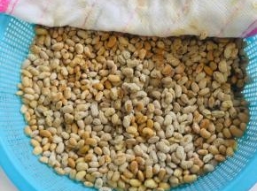 我一共发酵了三天！温度高用时短，温度低用时会长！（发酵两天的时候可以去看看发酵状态！）