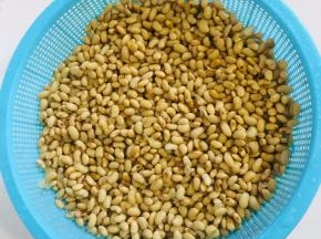 捞出装在透气的筐里，或者纱布缝制的布袋子里！铺平，豆子不要铺的太厚！