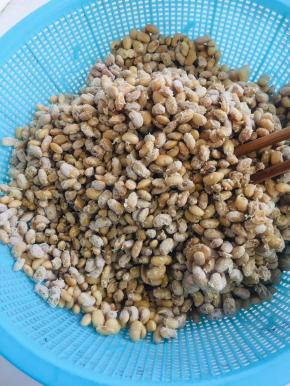 黄豆上有白膜，像莲藕一样牵丝就说明发酵好了！不要发酵的太久，不然的话口感会苦！