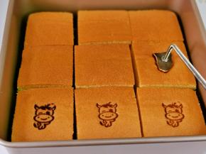 我用烙印压了我家宝贝的属性，这一步也可以省略啥。