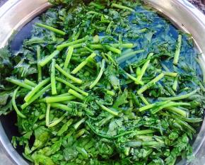 茼蒿放入冷水中过凉沥干水份