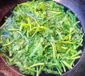 茼蒿放入开水中烫一下断生立即捞出