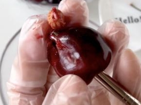 樱桃去掉梗，插入吸管，可以轻松去籽。去掉10个樱桃籽，留一个完整的装饰用。