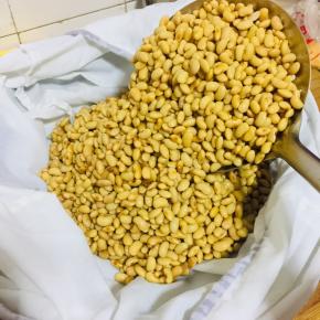 煮好的黄豆捞出，装在纱布袋里！