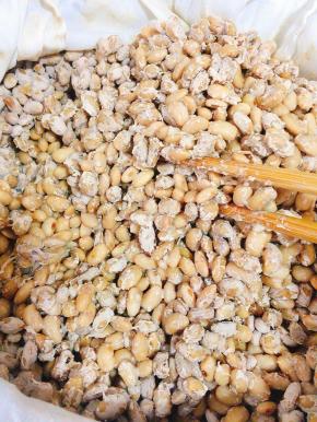 用筷子搅拌一下，像莲藕一样拉丝就说明发酵成功了！（有点像日本纳豆的感觉！）