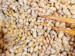 用筷子搅拌一下，像莲藕一样拉丝就说明发酵成功了！（有点像日本纳豆的感觉！）